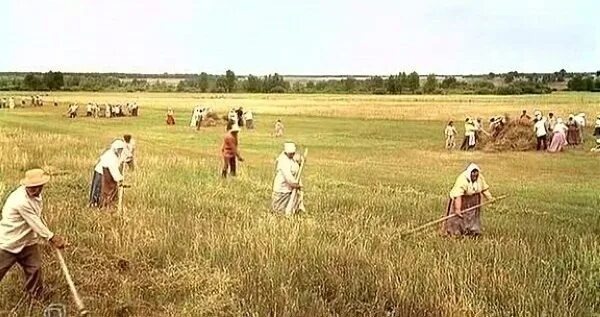 Фото https://avatars.mds.yandex.net/i?id=ddd1df9e48eb7e4fb76b51b3ee6eb5bd_l-6959765-images-thumbs&n=13