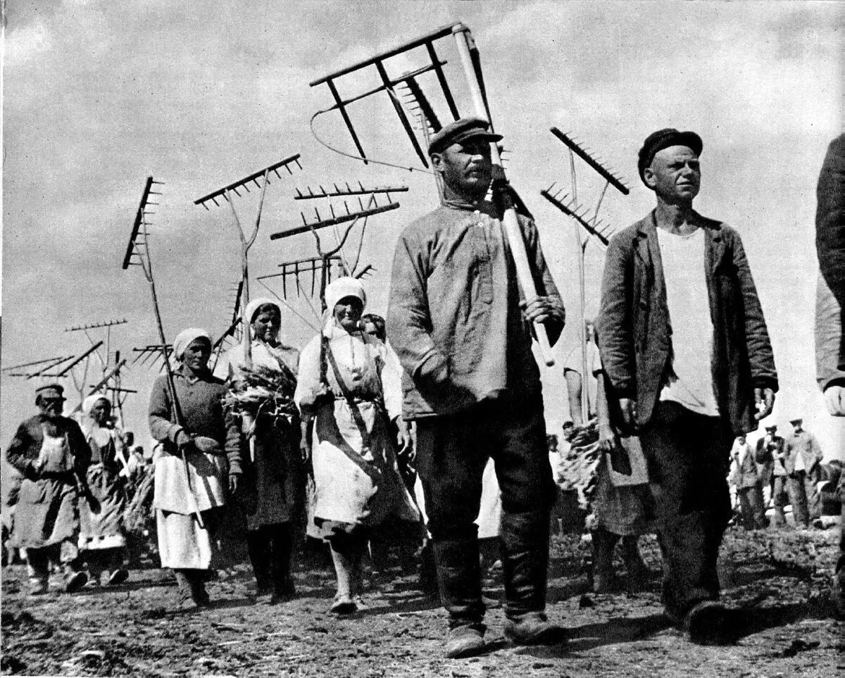 Фото https://avatars.mds.yandex.net/i?id=28509a52bdb097ec82e2f94846ce04f2_l-9043236-images-thumbs&ref=rim&n=13&w=1200&h=963