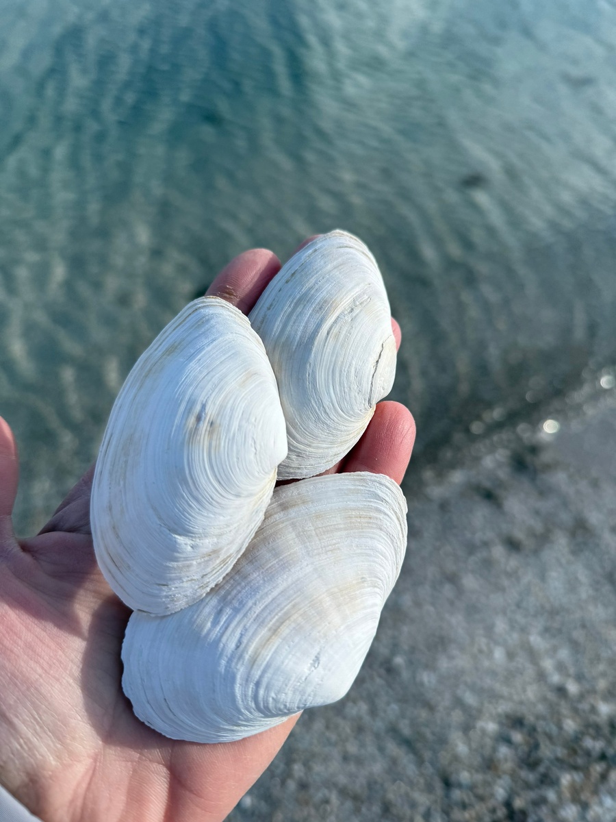 Фото: Татьяна Крымская 