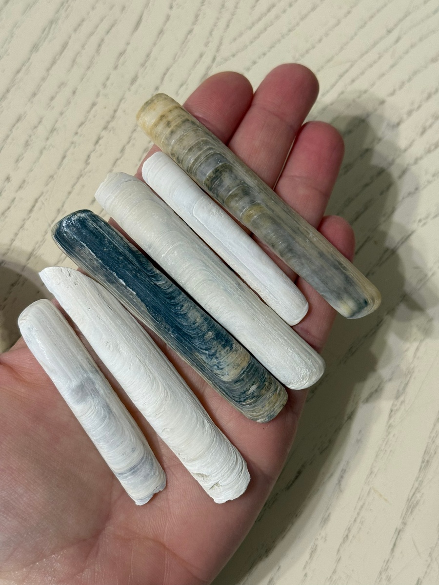 Фото: Татьяна Крымская 