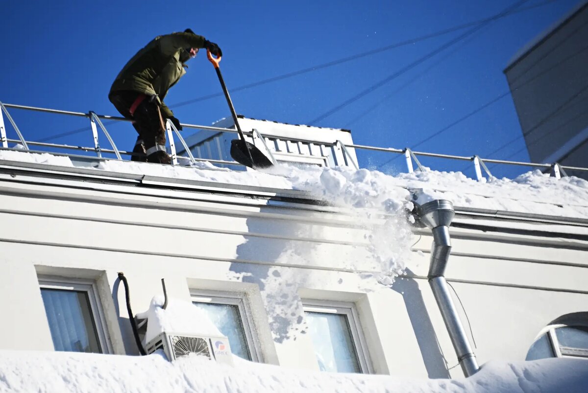    © РИА Новости. Алексей Филиппов