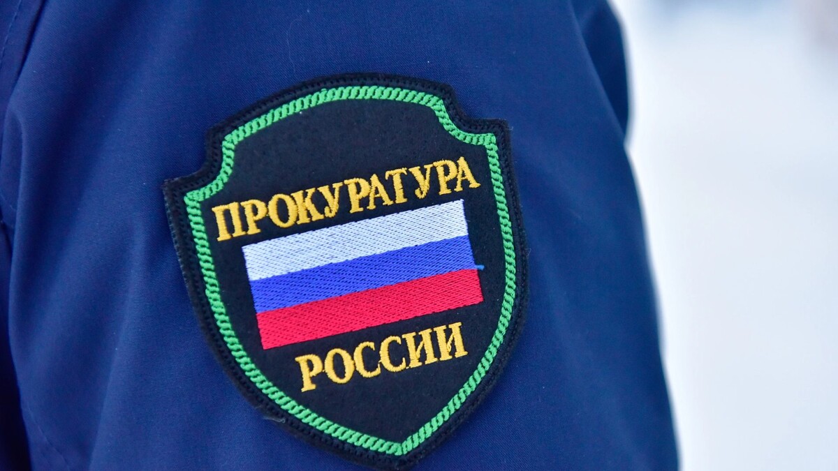    Фото: Андрей Ткачев / «Ямал-Медиа»