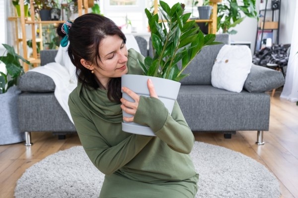 Источник фото shutterstock.com