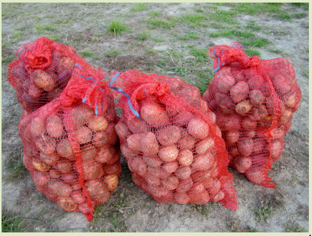 Фото из личного архива автора. 