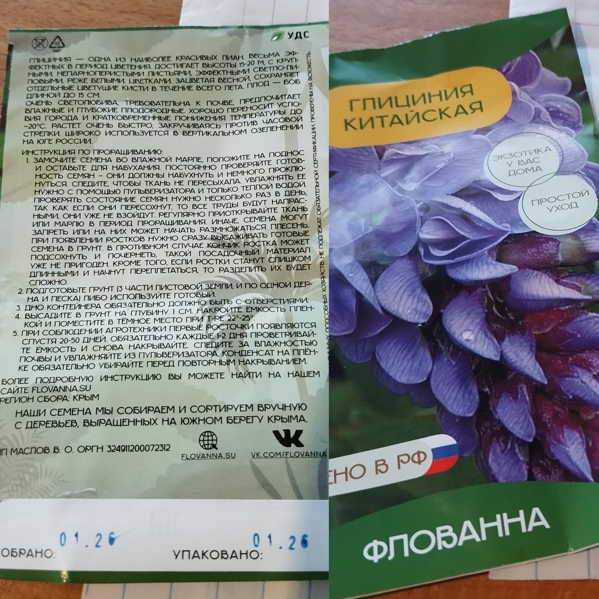 Фото автора статьи: Ворошиловой М. В. 