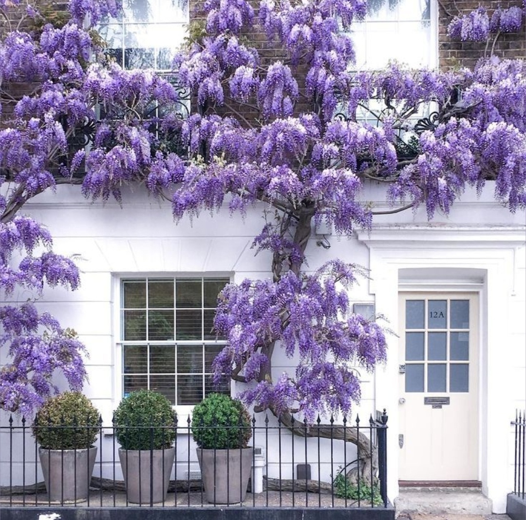 Фото взято из пинтереста.