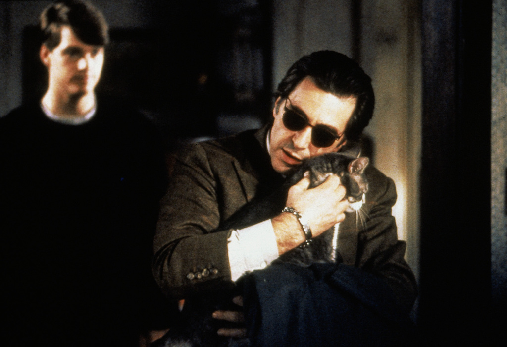 А этого кота я назову Марлон