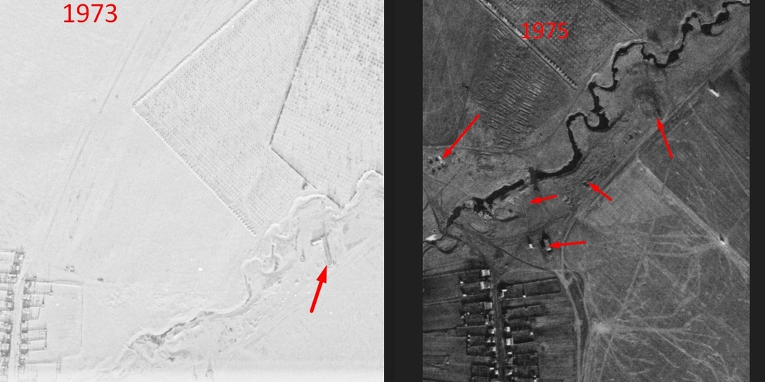 Как я телятник искал?