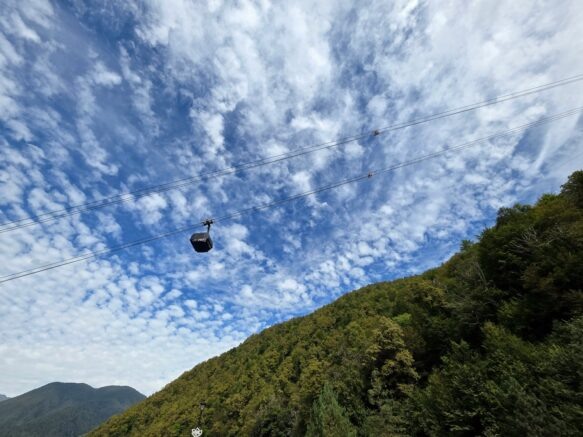    Элина Болдырева / МК в Сочи