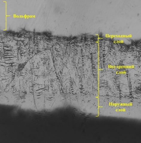     Иллюстрация: НИЯУ МИФИ