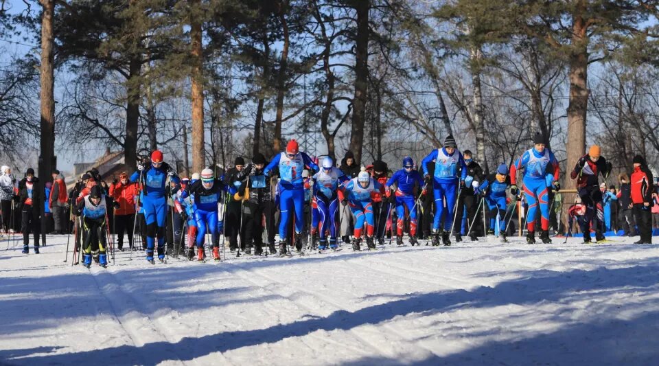    Около 800 бийчан приняли участие в гонке "Лыжня России 2026". Источник: Сергей Кулыгин / "Бийский рабочий"