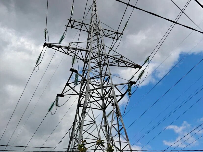    Фото: Юрий Серебренников/BFM Кубань