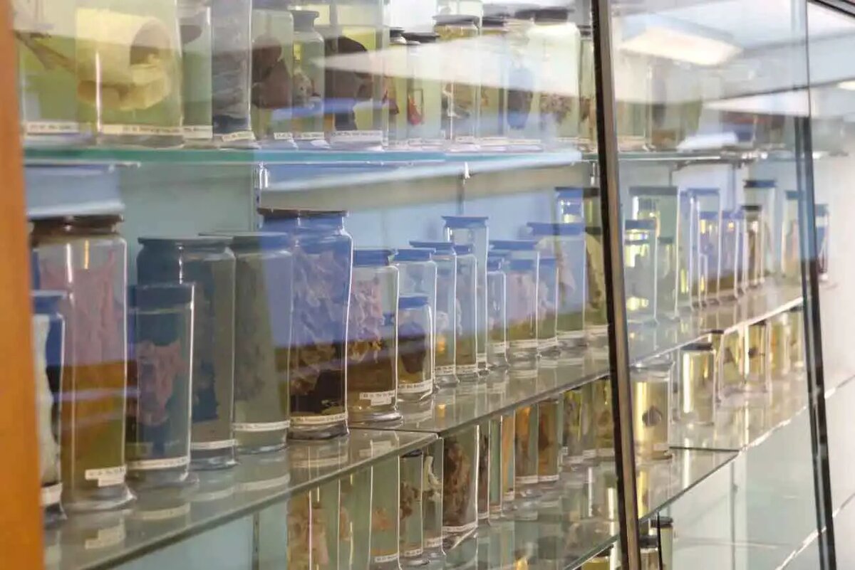    Фото: naked-science.ru Кира Попова