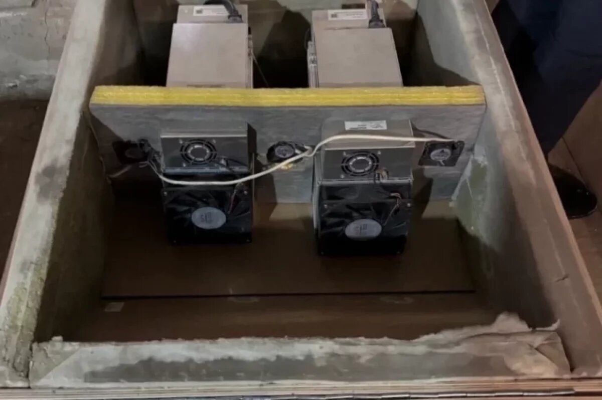    УФСБ в Коми выявило майнинг-ферму, похитившую энергии на 6 млн руб.