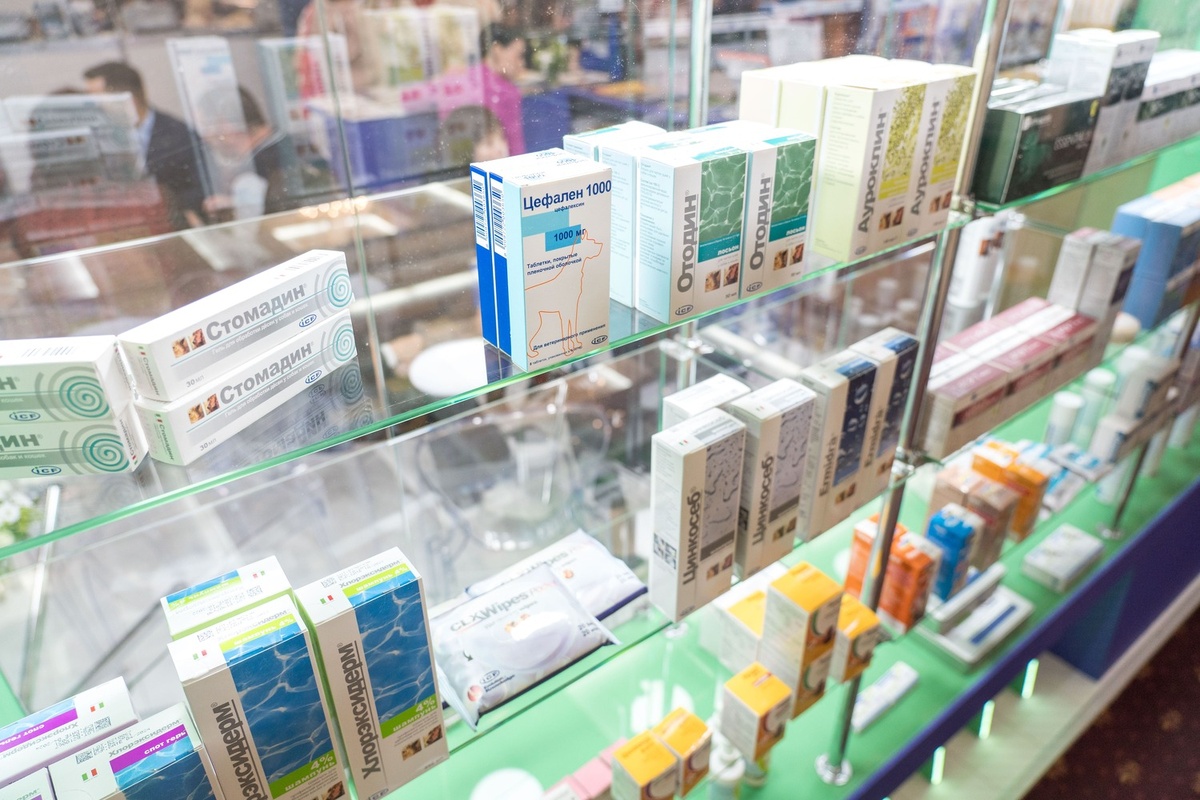 Фото: Александр Плонский / «ВиЖ».