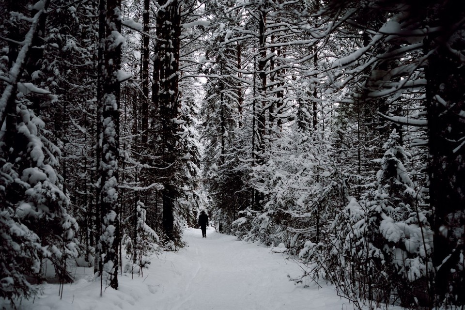    Школьник пропал в воскресенье. Дарья МАКСИМОВА