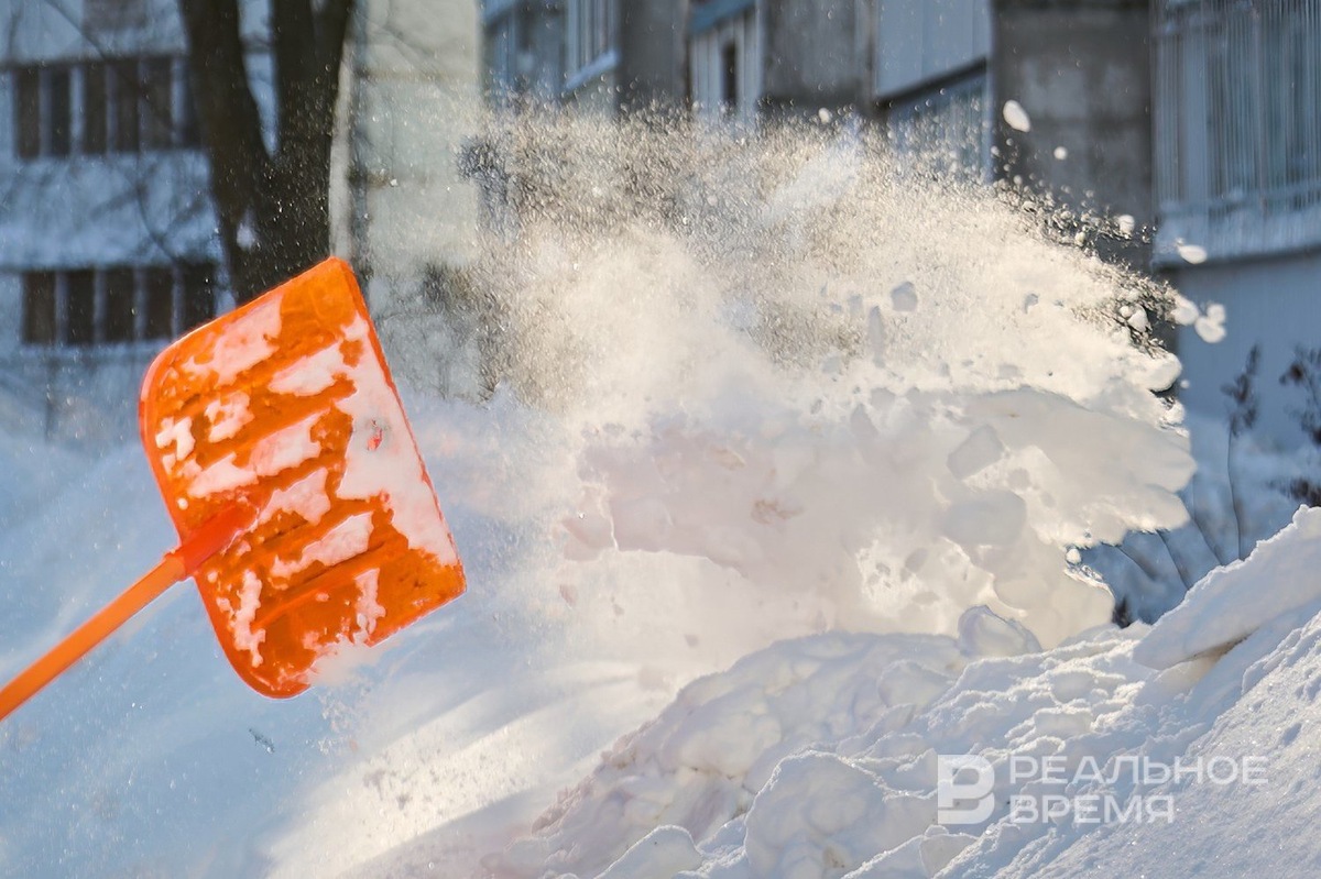   Динар Фатыхов / realnoevremya.ru