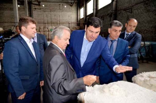    Волгоградский хлопок на ООО «Камышинский Текстиль»