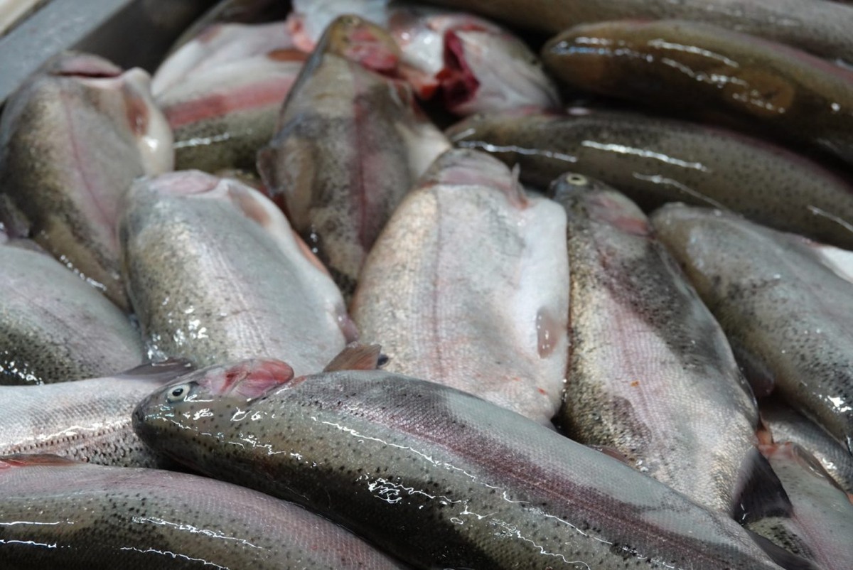    Фото: "Республика" / Даниил Рыжихин