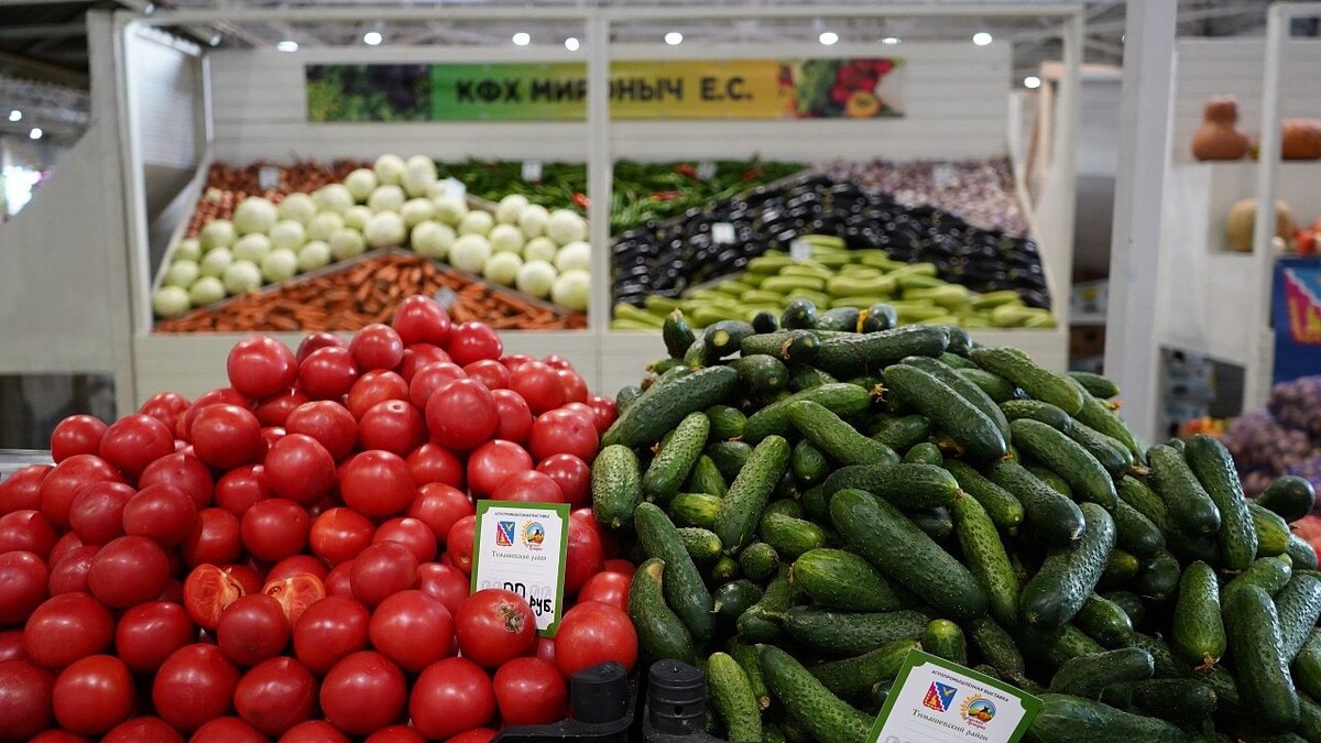    Фото: телеканал «Краснодар»