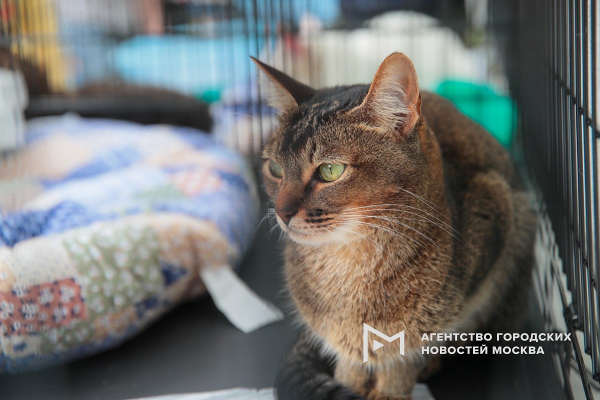 Фотограф: Василий Кузьмичёнок