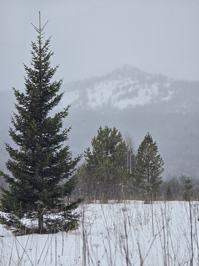 Гора Большой Шелом. Фото: Наталья Матвеева / ВКонтакте
