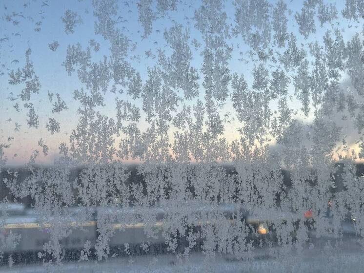     Северный ветер будет дуть со скоростью 2-6 метров в секунду. Фото: Архив МК в Великом Новгороде