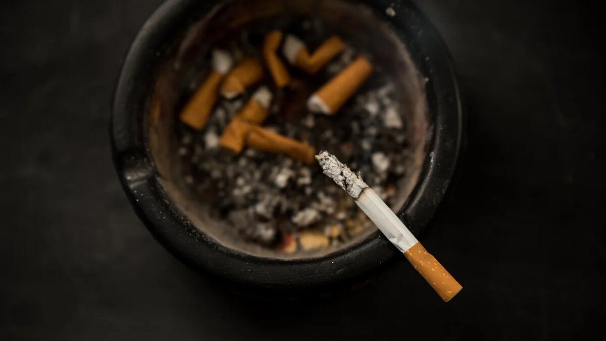   Adobe Stock- Архивное фото