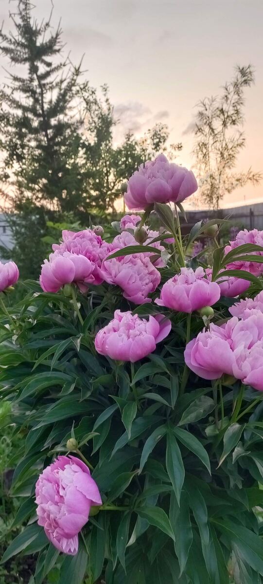 Фото из личного архива автора 