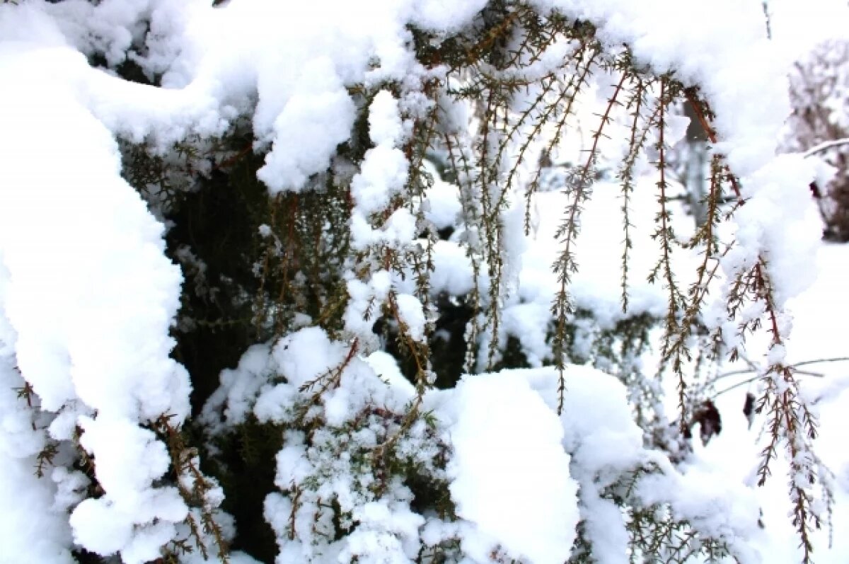    Сильные снегопады надвигаются на Свердловскую область