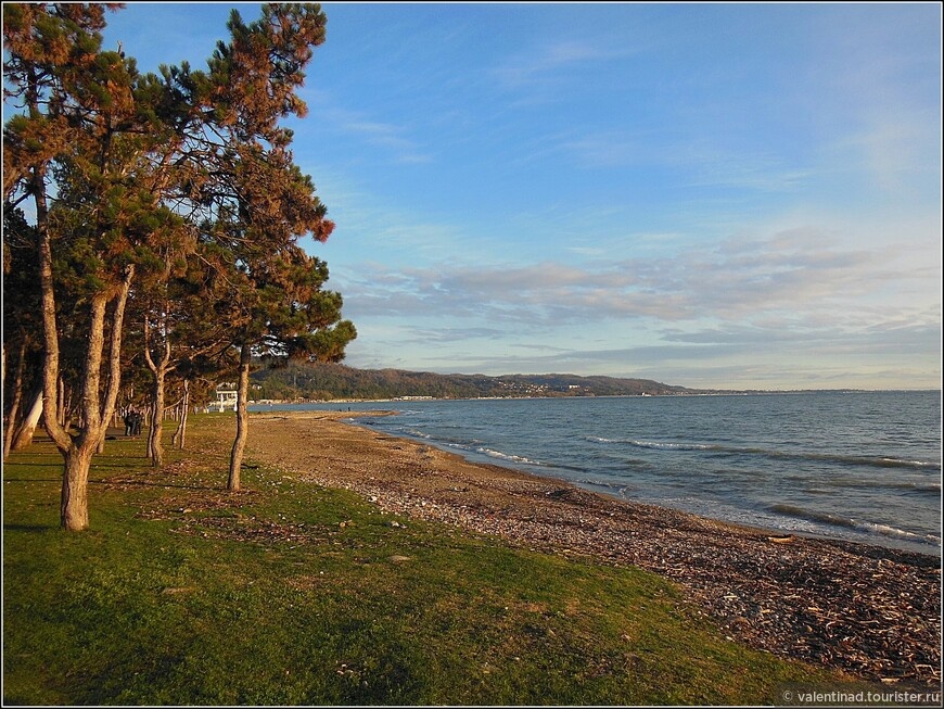 © Валентина Дыптан