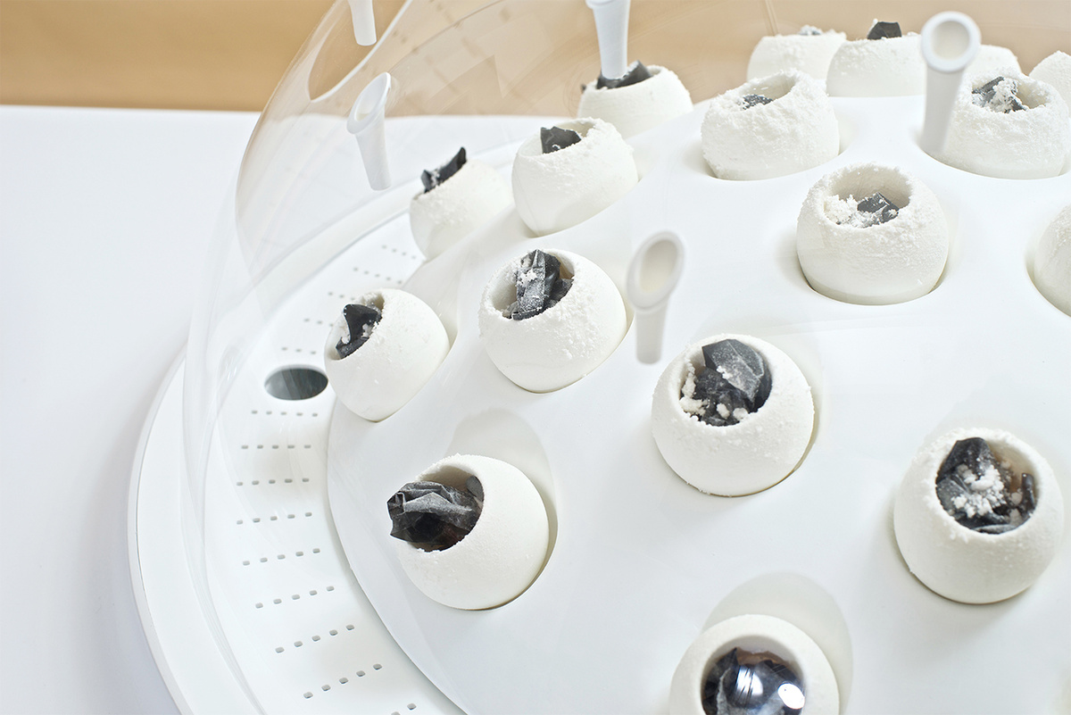 Что-то вроде инкубатора для платикоядных грибов, а каких именно - читайте далее!