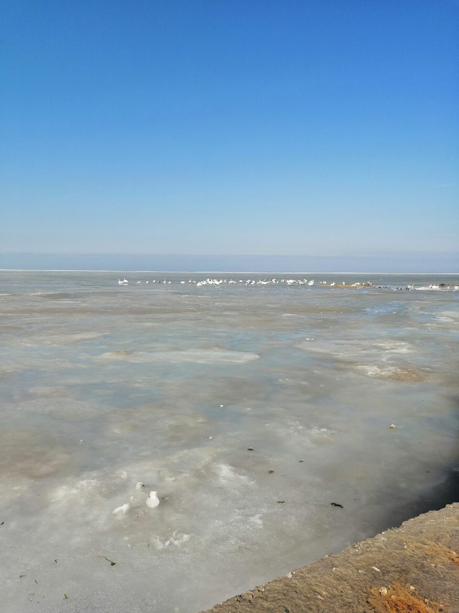 Море два дня назад.