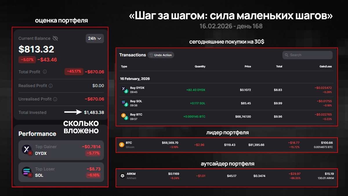 Инфографика проекта 