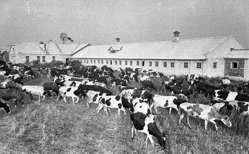 Фото взято из открытых источников Яндекс 