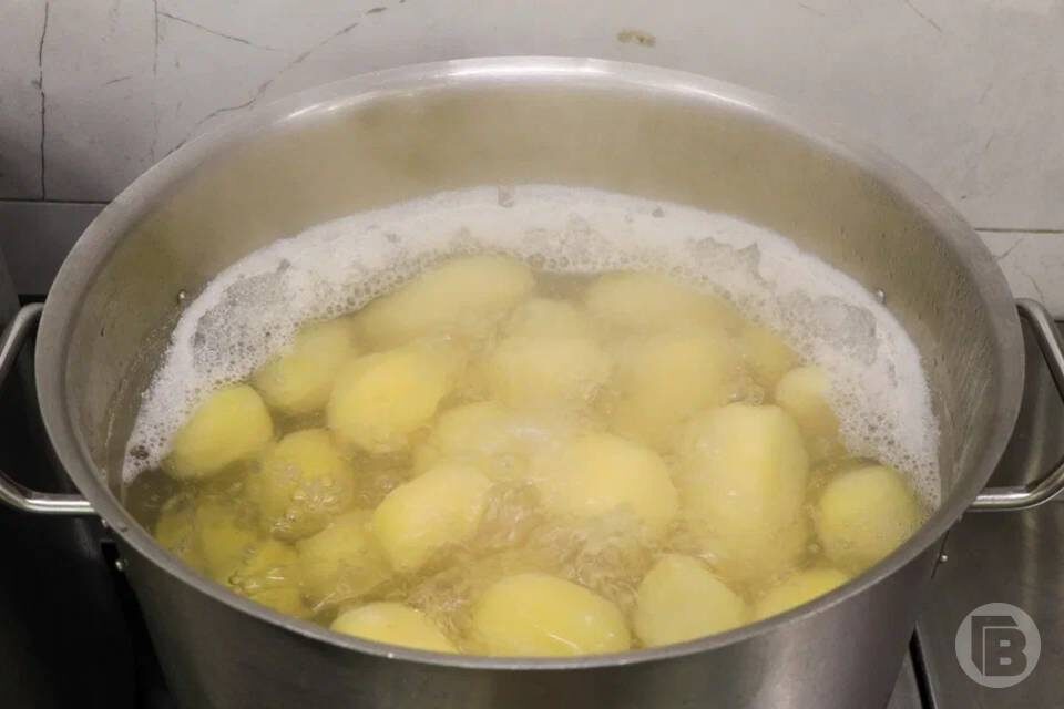    Фото: Дмитрий Рогулин / "Городские вести"