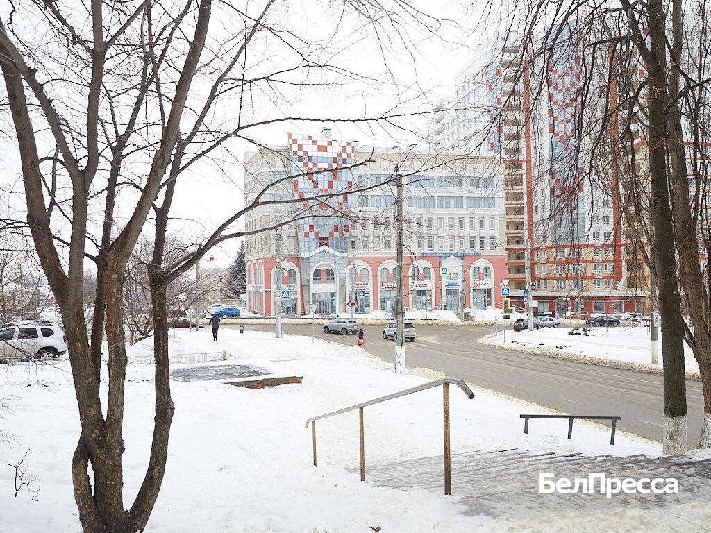     Фото: Елена Журавлёва