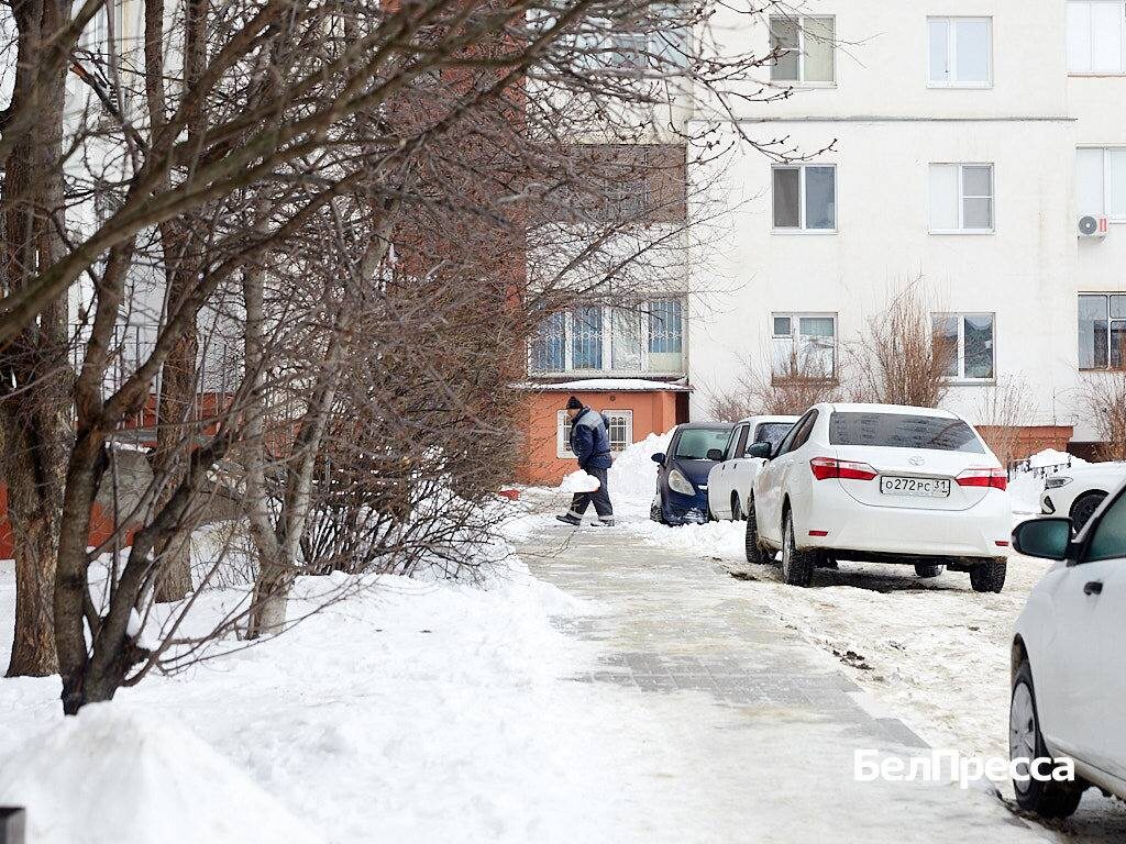    Фото: Елена Журавлёва