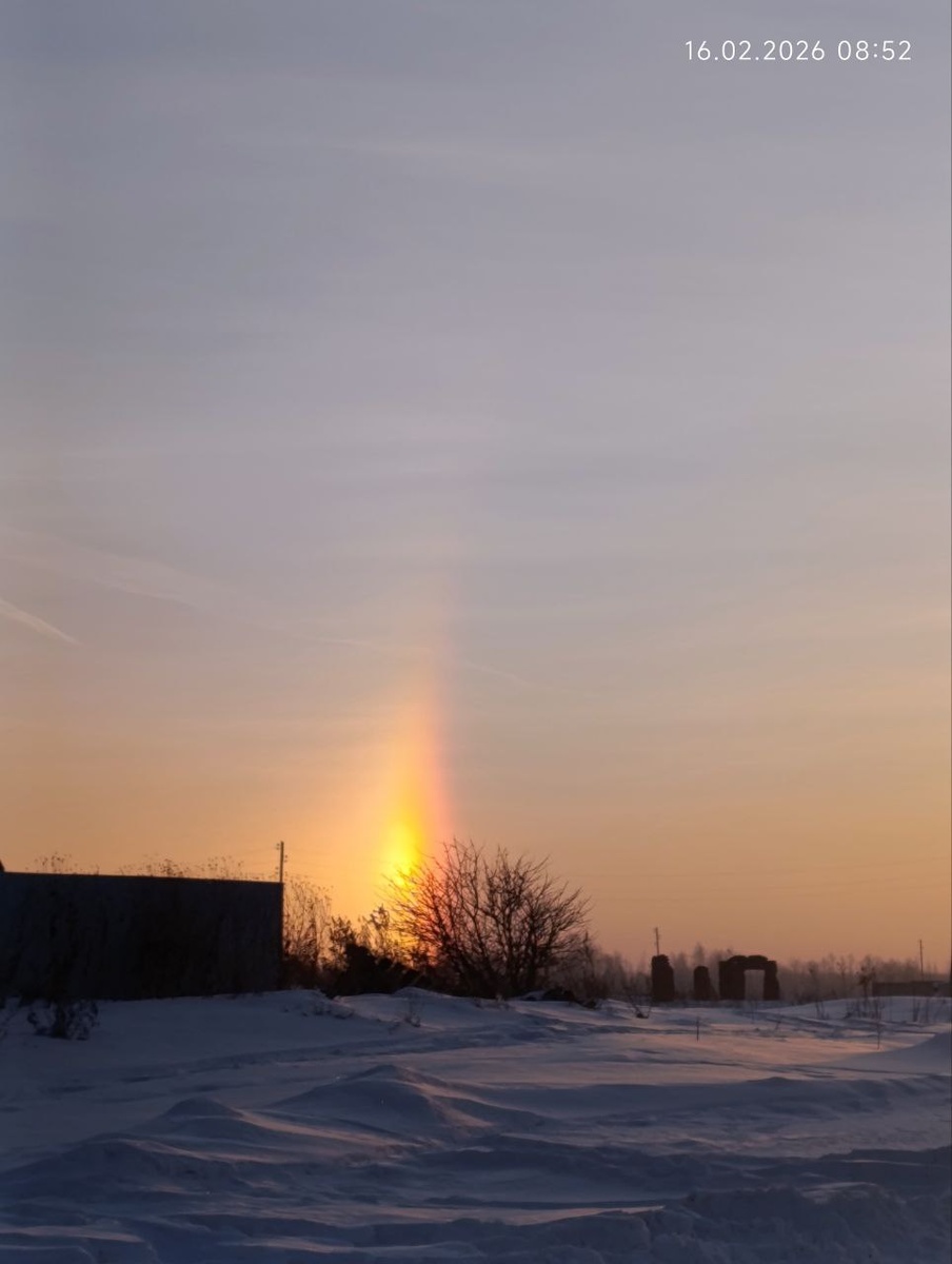 Фото: Милена Пономарева