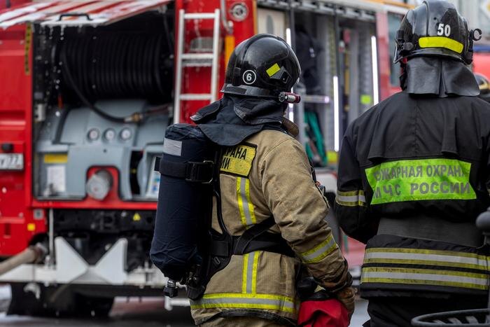 Обложка © Shutterstock / FOTODOM / NickolayV