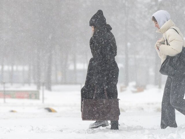    Фото: Агентство "Москва"/Александр Авилов