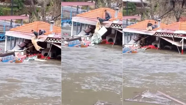 Фото: кадры из видео