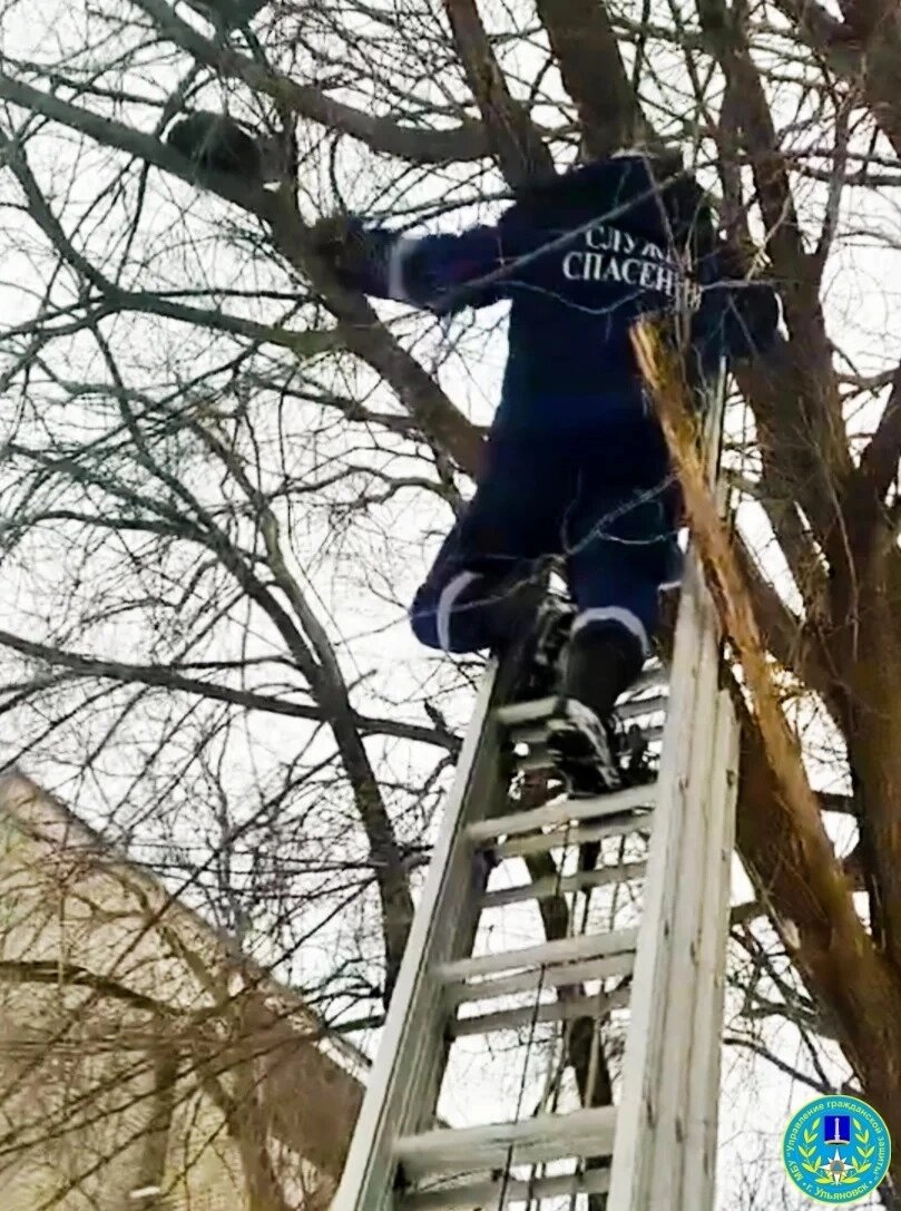    Фото: Управление гражданской защиты г. Ульяновска