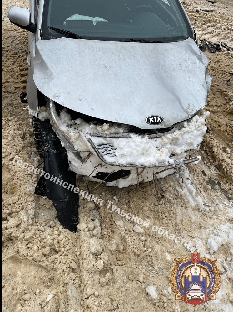     Фото: Госавтоинспекция Тульской области