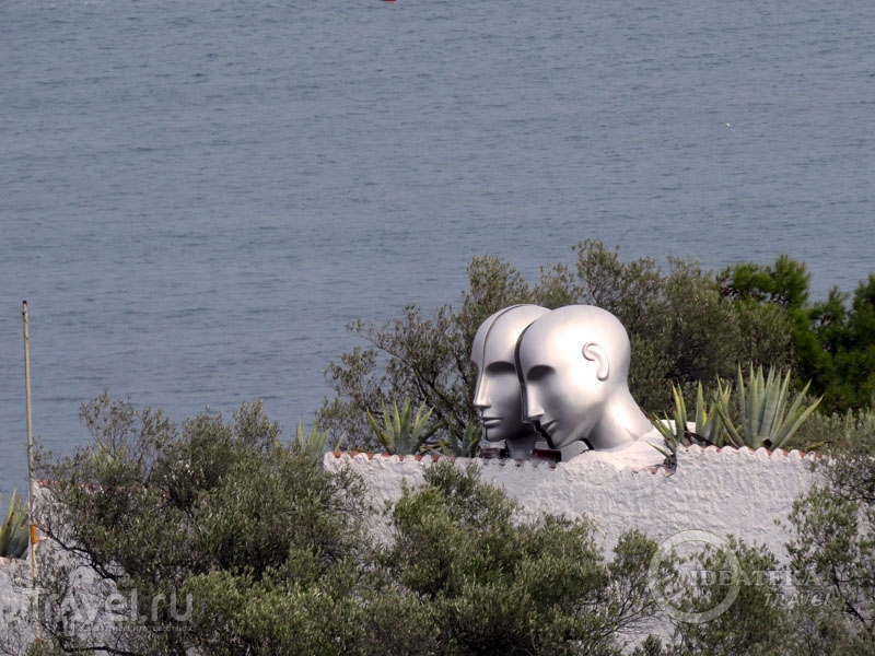 олива поразила меня своей изощрённой формой