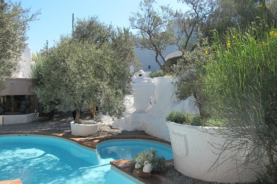 У Метра  Сальвадора оливковые деревья растут везде, похоже что он так же был увлечен красотой этого дерева.