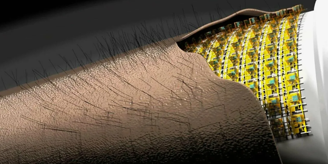 Машины, способные страдать: будущее ближе, чем кажется