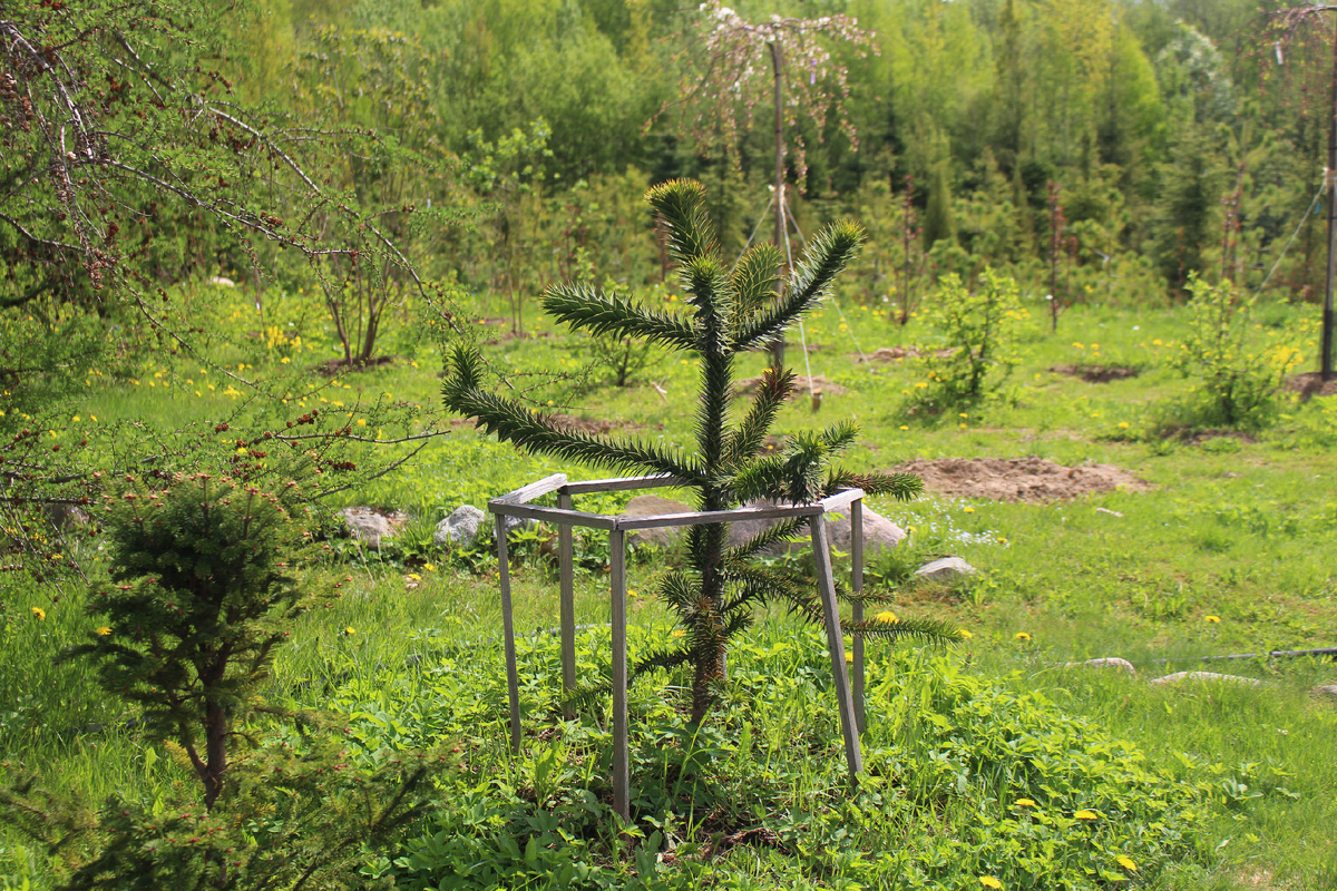 фото из моего архива