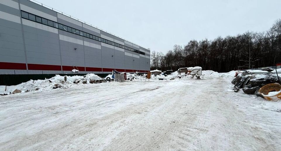    t.me/artsuvorov_live