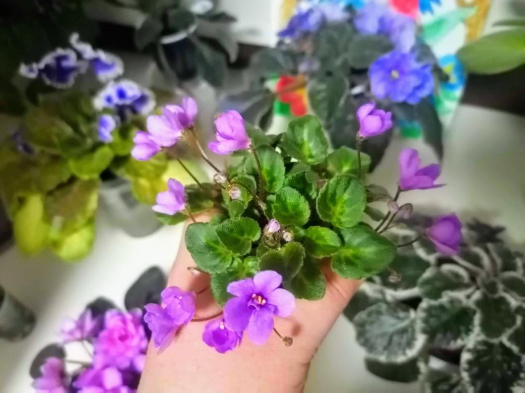 Фото: Инна Кондрашкина, ИА "Тюменская линия"